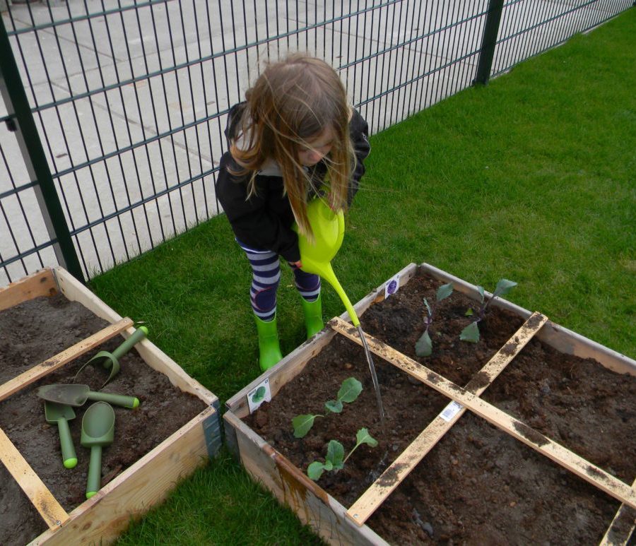 Leren leven met de natuur