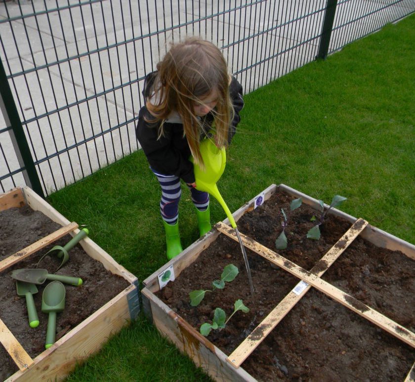 Leren leven met de natuur